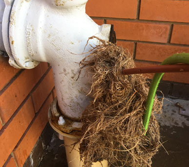 On Time Melbourne Plumbing